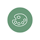 design webp